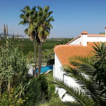 Sant Pere * Oliva